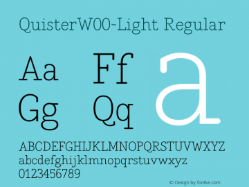 Quister W00 Light Version 1.00图片样张