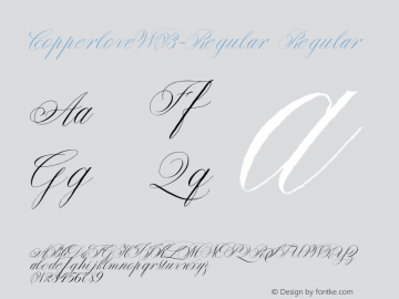 Copperlove W03 Regular Version 1.00 Font Sample