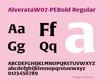 Alverata W07 PE Bold Version 1.100图片样张