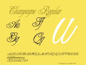 Champagne Regular Converted from C:\TEMP\CAMPAIGN.TF1 by ALLTYPE Font Sample