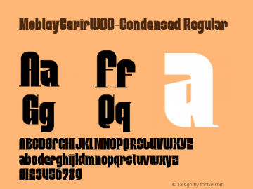 Mobley Serif W00 Condensed Version 1.1图片样张