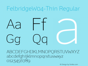 Felbridge W04 Thin Version 1.10 Font Sample