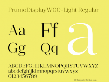 Prumo Display W00 Light Version 1.10图片样张