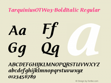 Tarquinius OT W03 Bold Italic Version 7.504 Font Sample