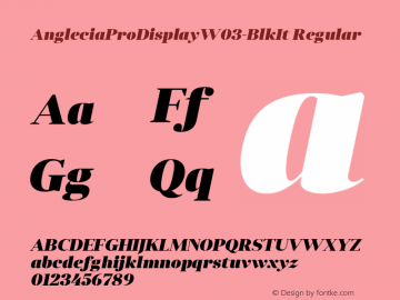 Anglecia Pro Disp W03 Blk It Version 1.00 Font Sample