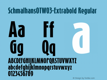 Schmalhans OT W03 Extrabold Version 7.504 Font Sample