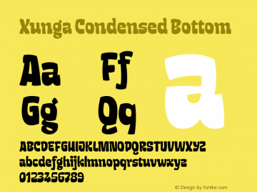 Xunga Condensed Bottom Version 1.000;PS 001.000;hotconv 1.0.88;makeotf.lib2.5.64775 Font Sample