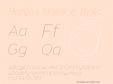 Banjax Hairline Italic Version 1.000;PS 001.000;hotconv 1.0.88;makeotf.lib2.5.64775 Font Sample