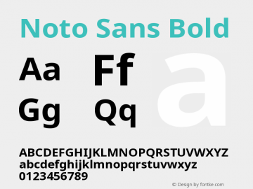 Noto Sans Bold Version 2.000;GOOG;noto-source:20170915:90ef993387c0图片样张