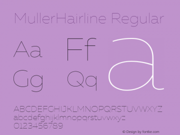 MullerHairline Version 1.0;com.myfonts.easy.font-fabric.muller.hairline.wfkit2.version.4o4j图片样张