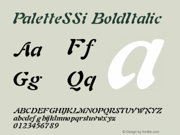 PaletteSSi BoldItalic Macromedia Fontographer 4.1 8/4/95图片样张