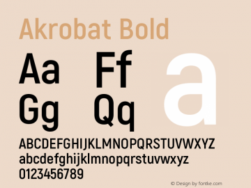 Akrobat-Bold Version 1.000;PS 001.000;hotconv 1.0.88;makeotf.lib2.5.64775 Font Sample