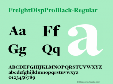 ☞FreightDisp Pro Black Version 3.000;com.myfonts.garagefonts.freight-disp-pro.black.wfkit2.gBKT图片样张