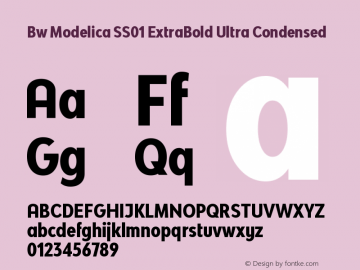 Bw Modelica SS01 ExtraBold Ultra Condensed Version 2.000;PS 002.000;hotconv 1.0.88;makeotf.lib2.5.64775 Font Sample