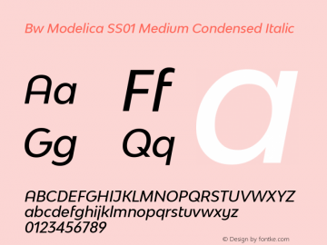 Bw Modelica SS01 Medium Condensed Italic Version 2.000;PS 002.000;hotconv 1.0.88;makeotf.lib2.5.64775 Font Sample
