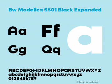 Bw Modelica SS01 Black Expanded Version 2.000;PS 002.000;hotconv 1.0.88;makeotf.lib2.5.64775 Font Sample