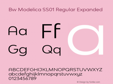 Bw Modelica SS01 Regular Expanded Version 2.000;PS 002.000;hotconv 1.0.88;makeotf.lib2.5.64775图片样张