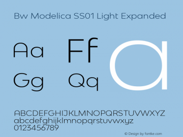 Bw Modelica SS01 Light Expanded Version 2.000;PS 002.000;hotconv 1.0.88;makeotf.lib2.5.64775图片样张