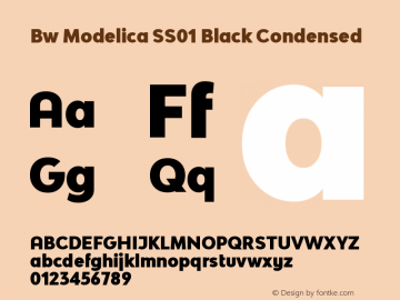 Bw Modelica SS01 Black Condensed Version 2.000;PS 002.000;hotconv 1.0.88;makeotf.lib2.5.64775 Font Sample