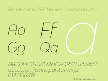 Bw Modelica SS01 Hairline Condensed Italic Version 2.000;PS 002.000;hotconv 1.0.88;makeotf.lib2.5.64775 Font Sample