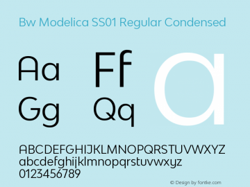 Bw Modelica SS01 Regular Condensed Version 2.000;PS 002.000;hotconv 1.0.88;makeotf.lib2.5.64775图片样张