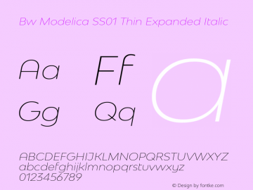 Bw Modelica SS01 Thin Expanded Italic Version 2.000;PS 002.000;hotconv 1.0.88;makeotf.lib2.5.64775 Font Sample