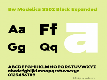 Bw Modelica SS02 Black Expanded Version 2.000;PS 002.000;hotconv 1.0.88;makeotf.lib2.5.64775 Font Sample