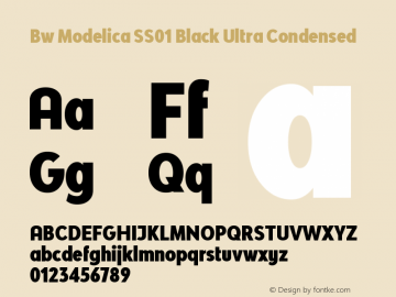 Bw Modelica SS01 Black Ultra Condensed Version 2.000;PS 002.000;hotconv 1.0.88;makeotf.lib2.5.64775 Font Sample
