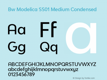 Bw Modelica SS01 Medium Condensed Version 2.000;PS 002.000;hotconv 1.0.88;makeotf.lib2.5.64775 Font Sample