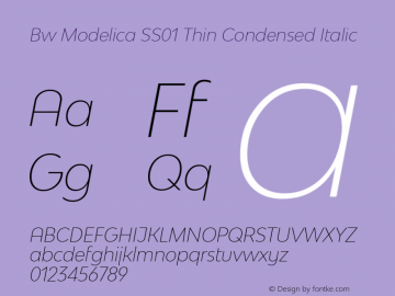 Bw Modelica SS01 Thin Condensed Italic Version 2.000;PS 002.000;hotconv 1.0.88;makeotf.lib2.5.64775 Font Sample