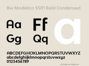 Bw Modelica SS01 Bold Condensed Version 2.000;PS 002.000;hotconv 1.0.88;makeotf.lib2.5.64775 Font Sample