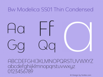 Bw Modelica SS01 Thin Condensed Version 2.000;PS 002.000;hotconv 1.0.88;makeotf.lib2.5.64775 Font Sample