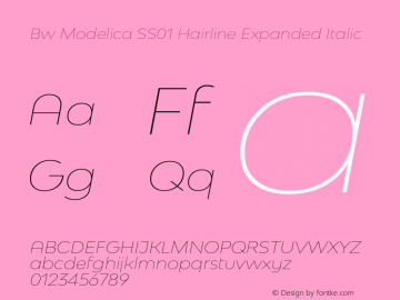Bw Modelica SS01 Hairline Expanded Italic Version 2.000;PS 002.000;hotconv 1.0.88;makeotf.lib2.5.64775 Font Sample
