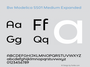 Bw Modelica SS01 Medium Expanded Version 2.000;PS 002.000;hotconv 1.0.88;makeotf.lib2.5.64775图片样张