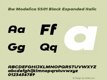 Bw Modelica SS01 Black Expanded Italic Version 2.000;PS 002.000;hotconv 1.0.88;makeotf.lib2.5.64775 Font Sample