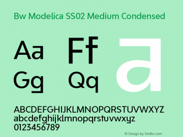 Bw Modelica SS02 Medium Condensed Version 2.000;PS 002.000;hotconv 1.0.88;makeotf.lib2.5.64775 Font Sample
