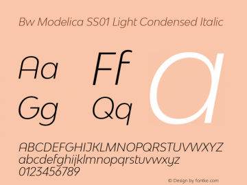 Bw Modelica SS01 Light Condensed Italic Version 2.000;PS 002.000;hotconv 1.0.88;makeotf.lib2.5.64775 Font Sample