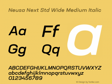 Neusa Next Std Wide Med Ita Version 1.002;PS 001.002;hotconv 1.0.88;makeotf.lib2.5.64775 Font Sample