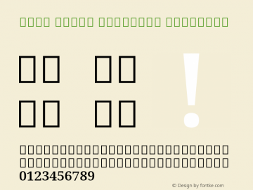 Noto Serif Gurmukhi SemiBold Version 1.900 Font Sample
