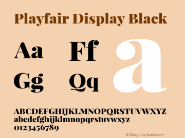 Playfair Display Black Version 1.003;PS 001.003;hotconv 1.0.70;makeotf.lib2.5.58329; ttfautohint (v0.93) -l 42 -r 42 -G 200 -x 14 -w 