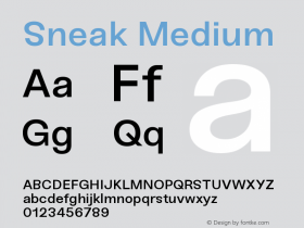 Sneak-Medium Version 1.000;PS 001.000;hotconv 1.0.88;makeotf.lib2.5.64775图片样张