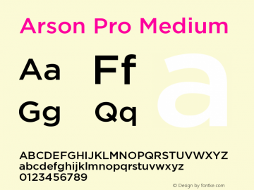 Arson Pro Medium Version 1.001 October 16, 2017图片样张