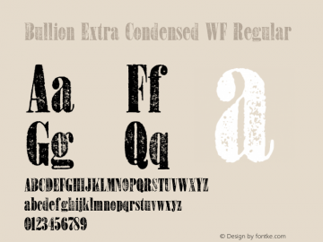 Bullion Extra Condensed WF 001.001图片样张