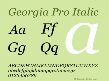 Georgia Pro Italic Version 6.11 Font Sample