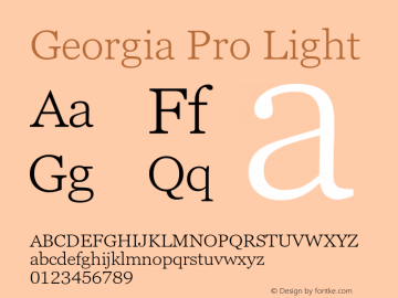 Georgia Pro Light Version 6.11图片样张