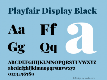 Playfair Display Black Version 1.200;PS 001.200;hotconv 1.0.88;makeotf.lib2.5.64775 Font Sample