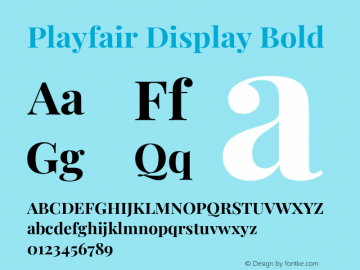 Playfair Display Bold Version 1.201;PS 001.201;hotconv 1.0.88;makeotf.lib2.5.64775 Font Sample