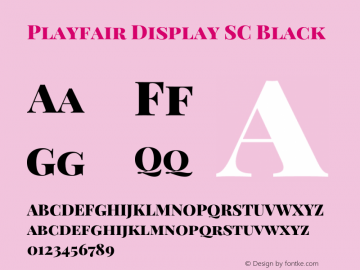 Playfair Display SC Black Version 1.201;PS 001.201;hotconv 1.0.88;makeotf.lib2.5.64775 Font Sample