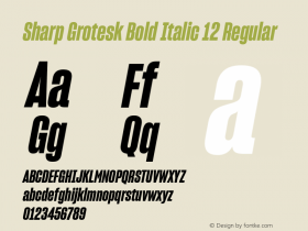 Sharp Grotesk Bold Italic 12 Regular Version 1.001;PS 1.000;hotconv 16.6.51;makeotf.lib2.5.65220 Font Sample