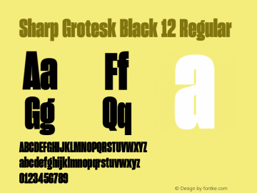 Sharp Grotesk Black 12 Regular Version 1.001;PS 1.000;hotconv 16.6.51;makeotf.lib2.5.65220图片样张